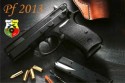 PF2013..jpg